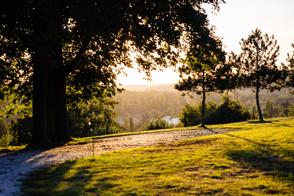 Un parc ensoleillé avec de grands arbres projetant de longues ombres sur l'herbe. L'arrière-plan montre des arbres au loin et un ciel brumeux.